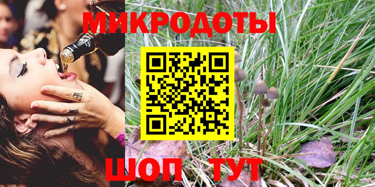 Губкин  Галлюциногенные грибы Magic Shrooms  Вход с VPN 